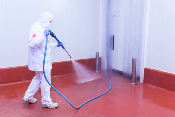  Taylorvle, IL Pressure Washing Pros