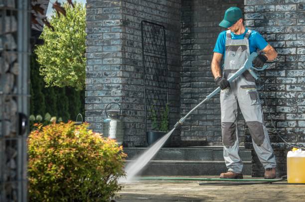 Best House Exterior Washing  in Taylorvle, IL