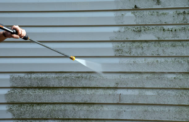 Best Warehouse Cleaning  in Taylorvle, IL