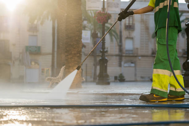 Best Animal Enclosure Cleaning  in Taylorvle, IL